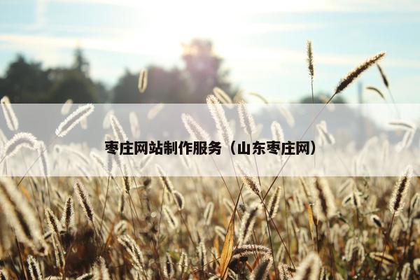 枣庄网站制作服务（山东枣庄网）