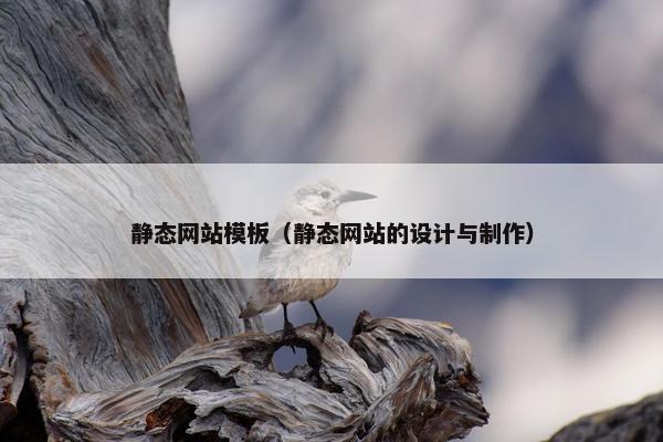静态网站模板（静态网站的设计与制作）