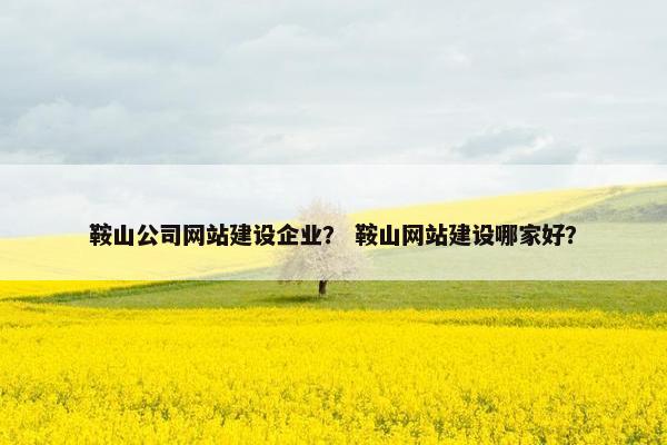 鞍山公司网站建设企业？ 鞍山网站建设哪家好？