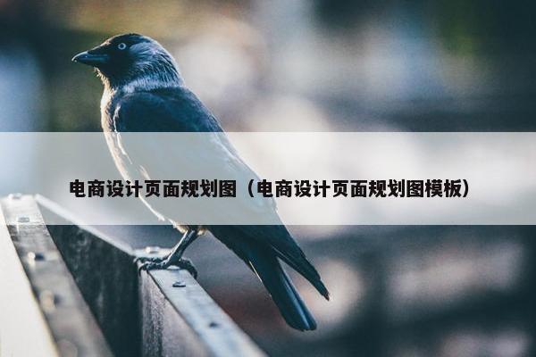 电商设计页面规划图（电商设计页面规划图模板）
