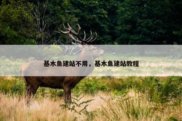 基木鱼建站不用，基木鱼建站教程