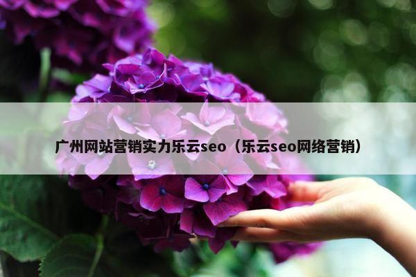 广州网站营销实力乐云seo（乐云seo网络营销）