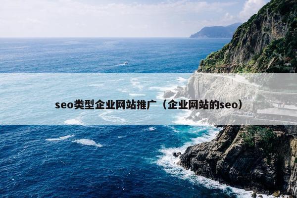 seo类型企业网站推广（企业网站的seo）