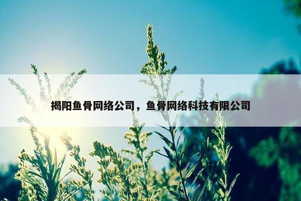 揭阳鱼骨网络公司，鱼骨网络科技有限公司