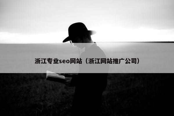 浙江专业seo网站（浙江网站推广公司）