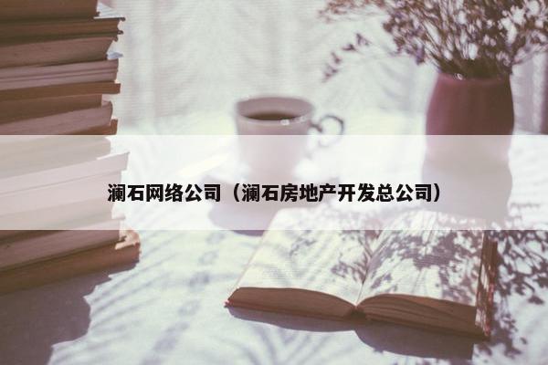 澜石网络公司（澜石房地产开发总公司）