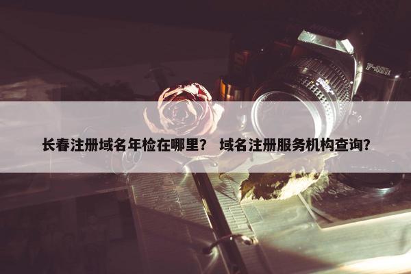 长春注册域名年检在哪里？ 域名注册服务机构查询？