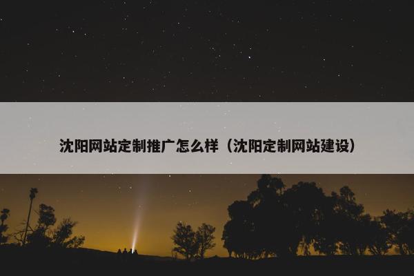沈阳网站定制推广怎么样（沈阳定制网站建设）