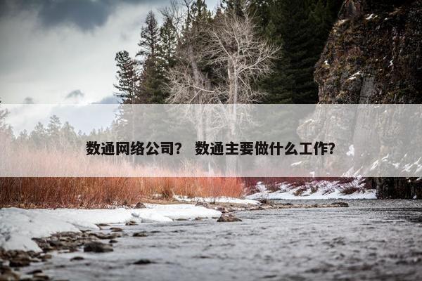 数通网络公司？ 数通主要做什么工作？