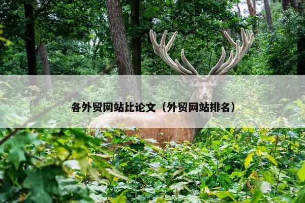 各外贸网站比论文（外贸网站排名）
