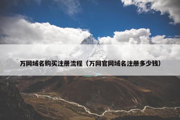 万网域名购买注册流程（万网官网域名注册多少钱）