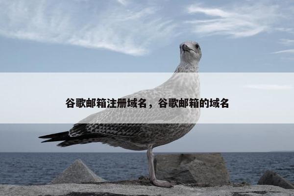 谷歌邮箱注册域名，谷歌邮箱的域名
