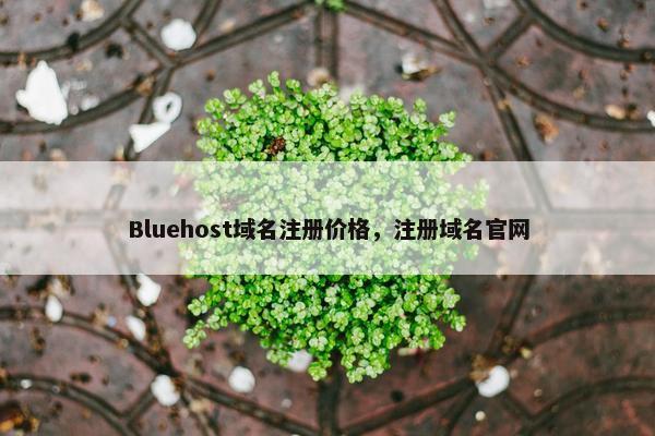 Bluehost域名注册价格，注册域名官网