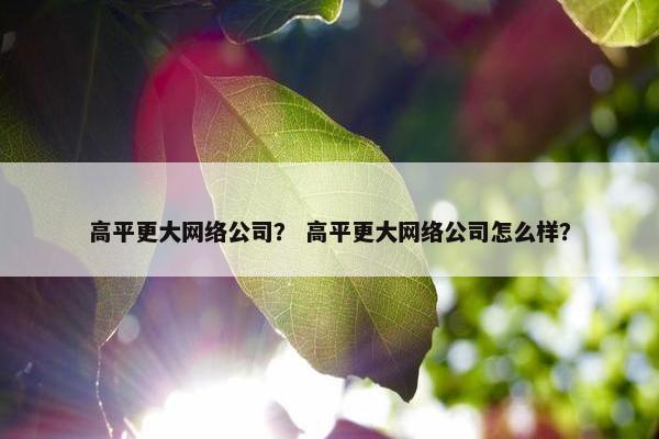 高平更大网络公司？ 高平更大网络公司怎么样？