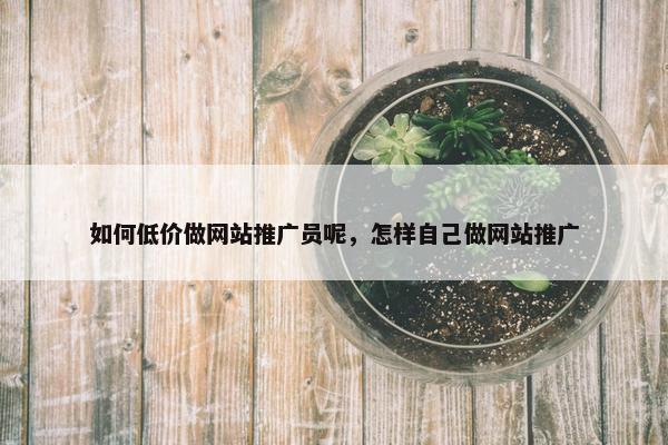 如何低价做网站推广员呢，怎样自己做网站推广