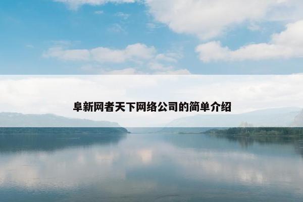 阜新网者天下网络公司的简单介绍