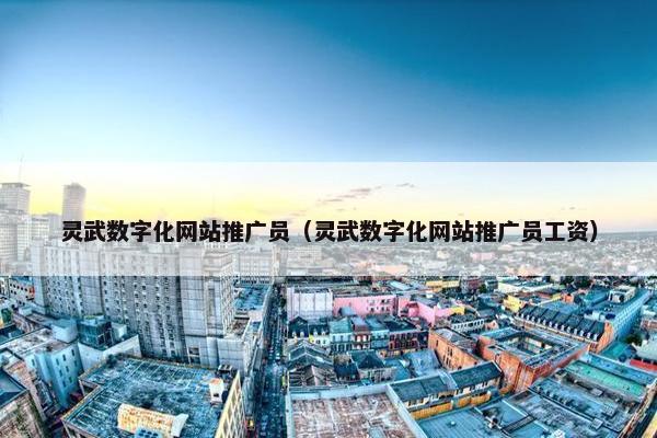 灵武数字化网站推广员（灵武数字化网站推广员工资）