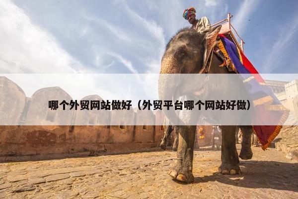 哪个外贸网站做好（外贸平台哪个网站好做）