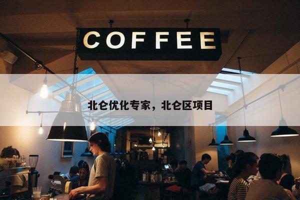 北仑优化专家，北仑区项目