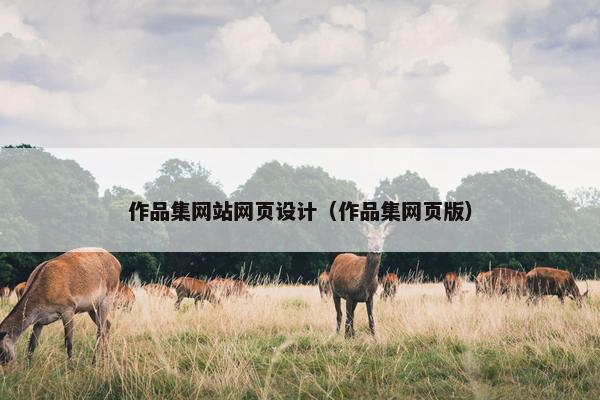 作品集网站网页设计（作品集网页版）