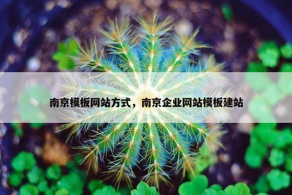 南京模板网站方式，南京企业网站模板建站