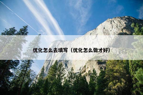 优化怎么去填写（优化怎么做才好）
