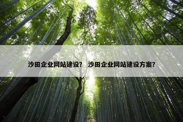 沙田企业网站建设？ 沙田企业网站建设方案？