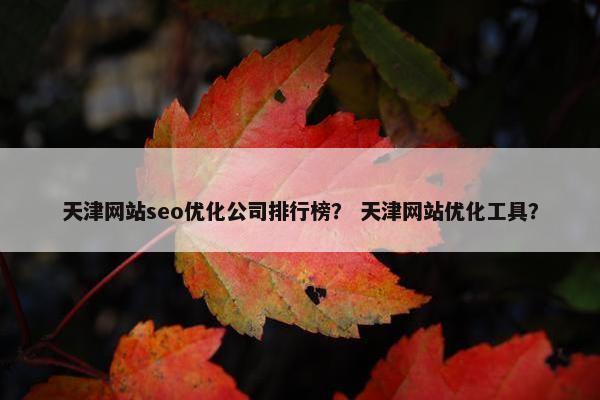 天津网站seo优化公司排行榜？ 天津网站优化工具？