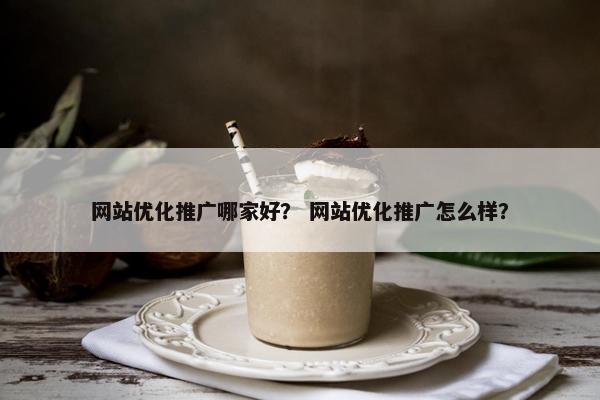 网站优化推广哪家好？ 网站优化推广怎么样？