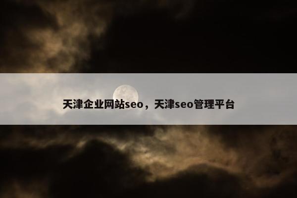 天津企业网站seo，天津seo管理平台