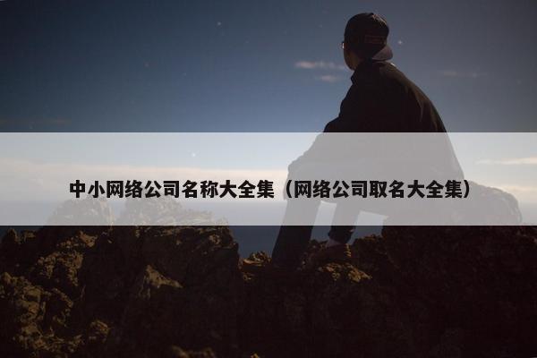 中小网络公司名称大全集（网络公司取名大全集）