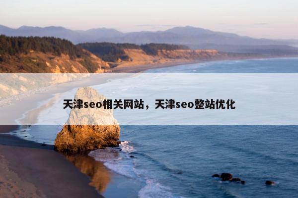 天津seo相关网站，天津seo整站优化