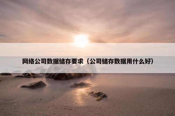 网络公司数据储存要求（公司储存数据用什么好）