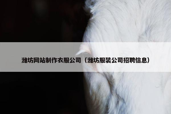 潍坊网站制作衣服公司（潍坊服装公司招聘信息）