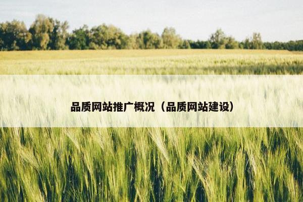 品质网站推广概况（品质网站建设）