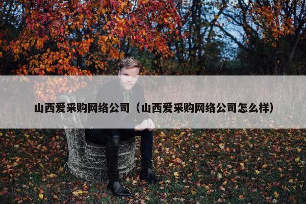 山西爱采购网络公司（山西爱采购网络公司怎么样）