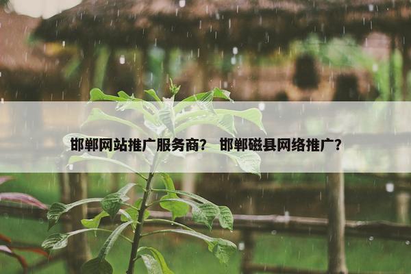 邯郸网站推广服务商？ 邯郸磁县网络推广？