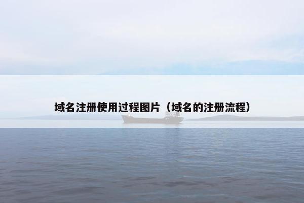域名注册使用过程图片（域名的注册流程）