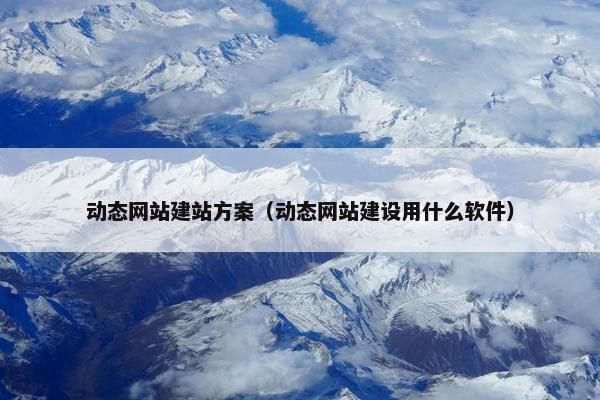 动态网站建站方案（动态网站建设用什么软件）