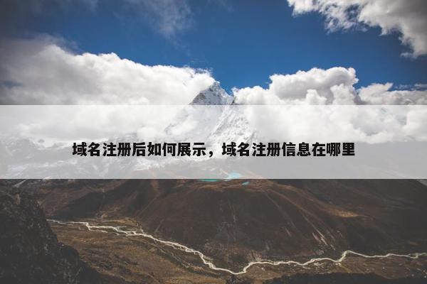 域名注册后如何展示，域名注册信息在哪里