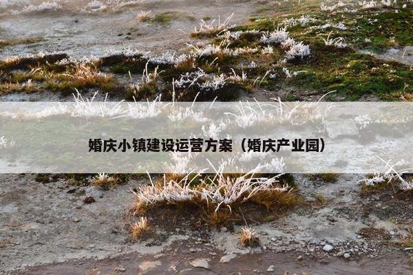 婚庆小镇建设运营方案（婚庆产业园）