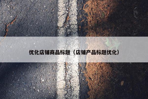 优化店铺商品标题（店铺产品标题优化）
