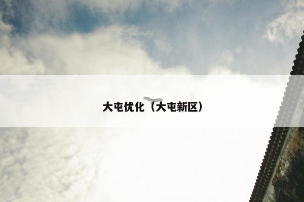 大屯优化（大屯新区）