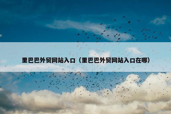 里巴巴外贸网站入口（里巴巴外贸网站入口在哪）