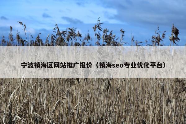 宁波镇海区网站推广报价（镇海seo专业优化平台）
