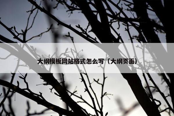 大纲模板网站格式怎么写（大纲页面）