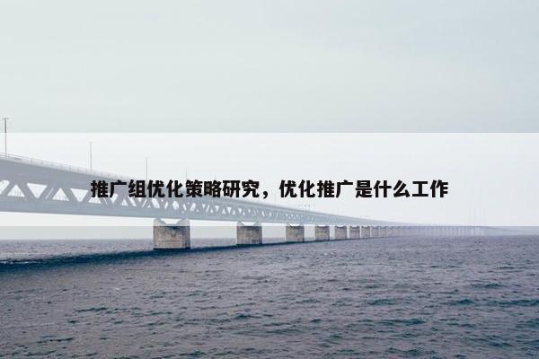 推广组优化策略研究，优化推广是什么工作