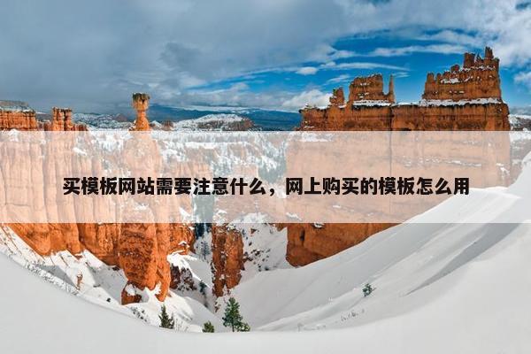 买模板网站需要注意什么，网上购买的模板怎么用