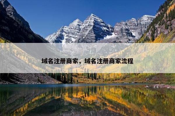 域名注册商家，域名注册商家流程