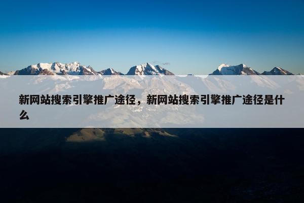 新网站搜索引擎推广途径，新网站搜索引擎推广途径是什么